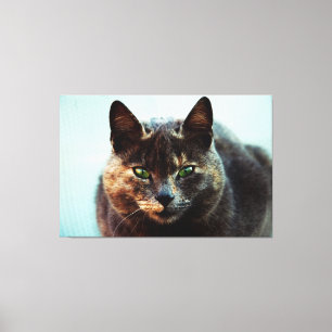 Beautiful cat canvas print