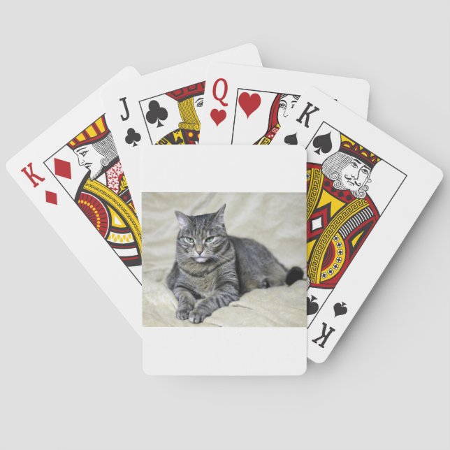 Beautiful Cat Laying Playing Cards (Back)
