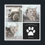 Beautiful Cat Memorial Custom Pet Photo Keepsake Magnet<br><div class="desc">This beautiful cat photo memorial magnet is personalised with adorable pictures of your sweet girl kitty. Customise this thoughtful keepsake gift with your own custom feline photographs around a black square with a cute white paw print and your kitten's name in the centre.</div>
