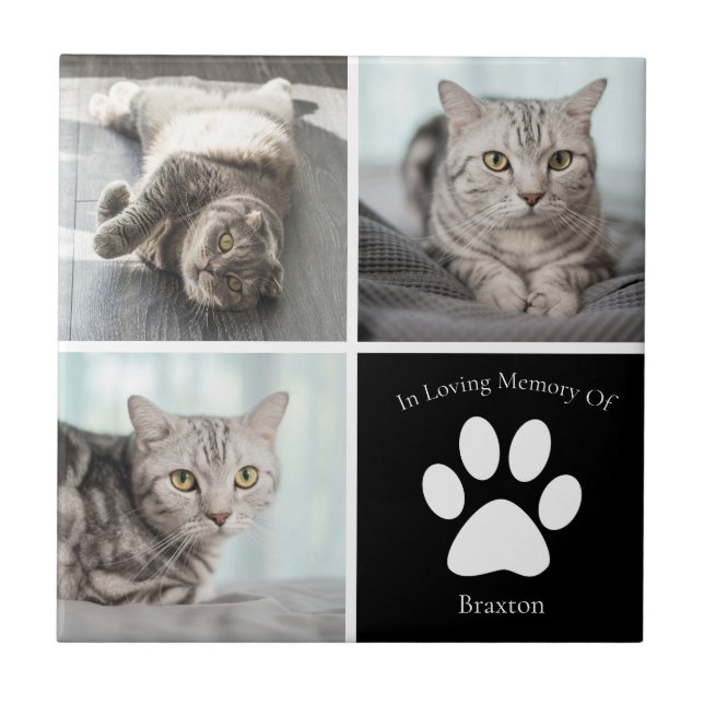 Beautiful Cat Memorial Custom Pet Photo Keepsake Tile (Front)