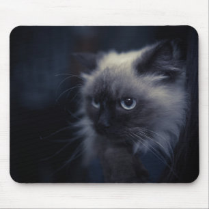 Beautiful cat mouse pad