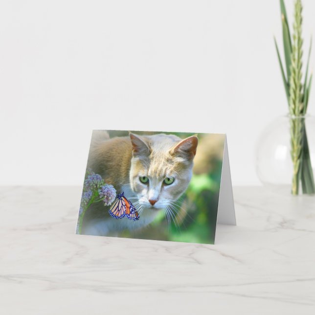 Beautiful Cat Note cards Blank Inside (Front)