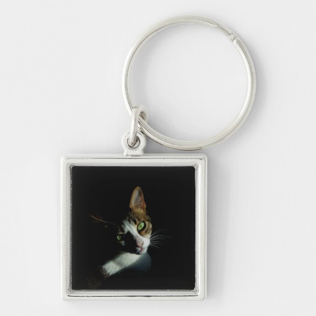 Beautiful Cat photo Key Ring (Front)