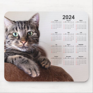 Beautiful Cat Resting 2024 Calendar Mouse Pad