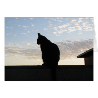 Beautiful cat silhouette at sunset