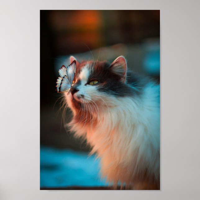 Beautiful Cat With A Butterfly On Their Nose Poster (Front)