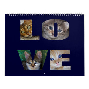 Beautiful Cats For All Who Love Them 2021 Calendar