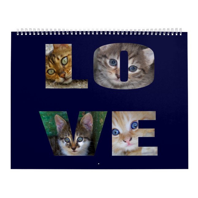 Beautiful Cats For All Who Love Them 2024 Calendar (Cover)