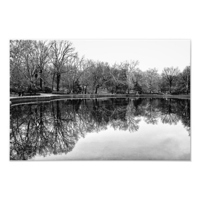 Beautiful Central Park Landscape in Black & White Photo Print (Front)