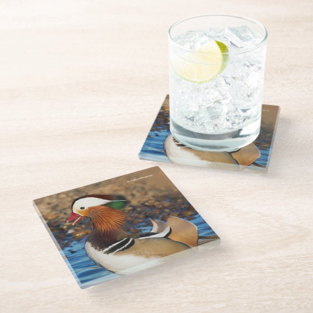 Beautiful Chatty Mandarin Duck at the Pond Glass Coaster (Angled)