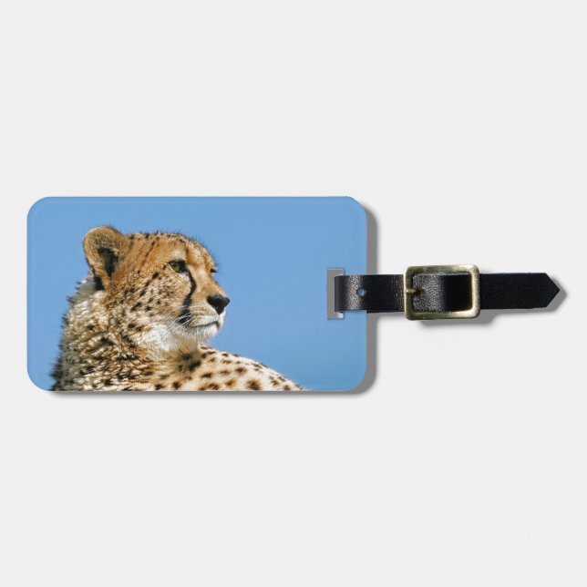 Beautiful Cheetah Luggage Tag (Front Horizontal)