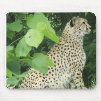 Beautiful cheetah mouse pad