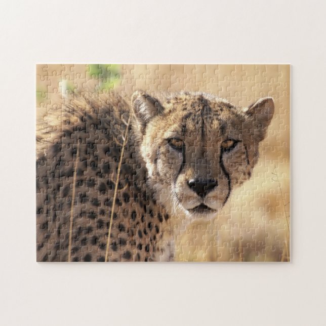 Beautiful Cheetah Portrait, Jigsaw Puzzle (Horizontal)