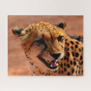 Beautiful Cheetah Predator, Jigsaw Puzzle