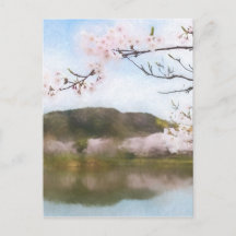 Beautiful cherry blossom and pond