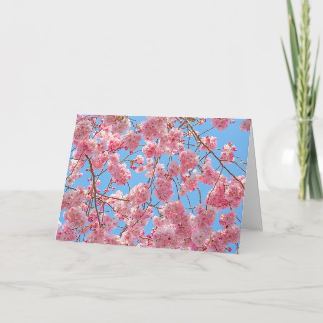 Beautiful Cherry Blossom Greeting Card (Front)