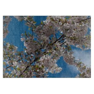 Beautiful cherry blossoming tree against blue sky. cutting board