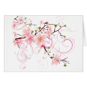 Beautiful Cherry Blossoms