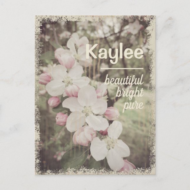 Beautiful Cherry Blossoms Custom Name with Meaning Postcard (Front)