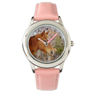 Beautiful Chestnut Horse Watch