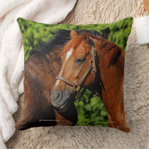 Beautiful Chestnut Horses in the Summer Sun Cushion