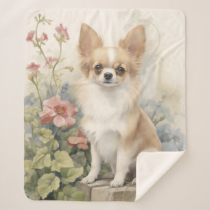 Beautiful Chihuahua Sherpa Blanket