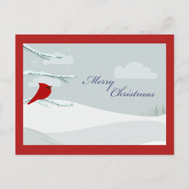 Beautiful Christmas Cardinal Postcard (Front)