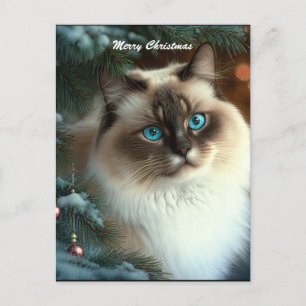 Beautiful Christmas Cat Postcard
