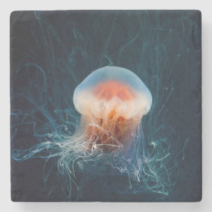 Beautiful Close-Up of a Deep Ocean Jellyfish Stone Coaster