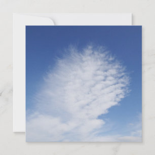 Beautiful cloud