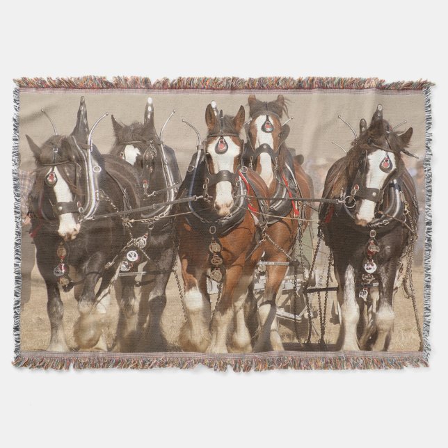 Beautiful Clydesdale Horses Ploughing - Team Work Throw Blanket (Front)