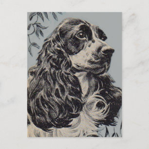 beautiful cocker spaniel postcard