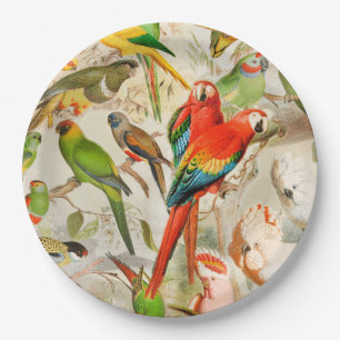 Beautiful Colorful Vintage Tropical Birds Parrots Paper Plate