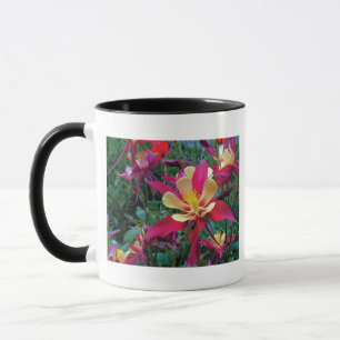 beautiful colour flowers mug