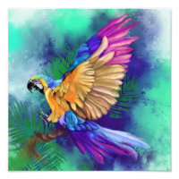 Beautiful Colour Parrot Poster Painting