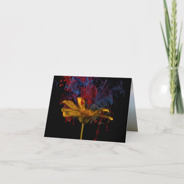 Beautiful Colourful Daisy Card (Front)
