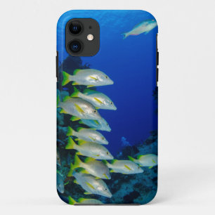Beautiful Colourful Fishes Best gift for sea lif Case-Mate iPhone Case