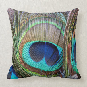 Beautiful colourful peacock feathers cushion