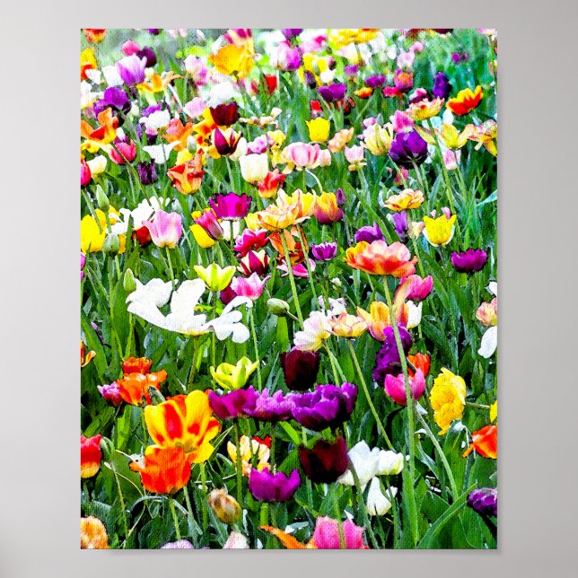 Beautiful Colourful Tulips Artsy Floral Poster (Front)