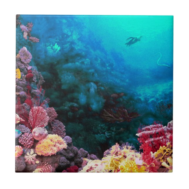 Beautiful Colourful Vibrant Unsersea Tropical Tile (Front)