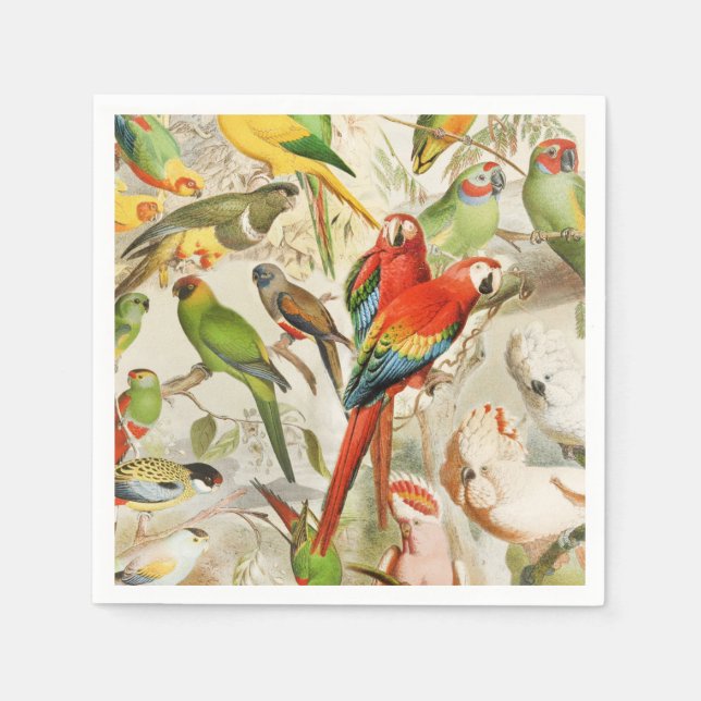 Beautiful Colourful Vintage Tropical Birds Parrots Napkin (Front)