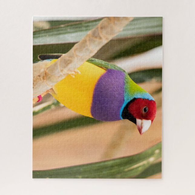 Beautiful Colourful Zebra Finch Bird Jigsaw Puzzle (Vertical)