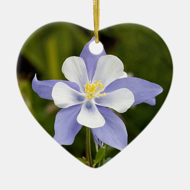 Beautiful Columbine Ceramic Tree Decoration (Front)