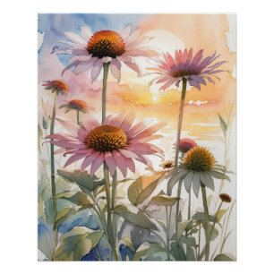 Beautiful Coneflower Poster