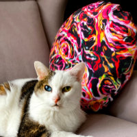 Beautiful Cool Colourful Funky