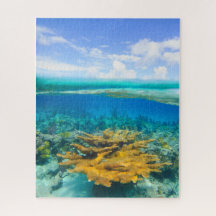 Beautiful Coral Reef Above and Below Jigsaw Puzzle