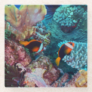 Beautiful Coral Reef with Fish Glass Coaster
