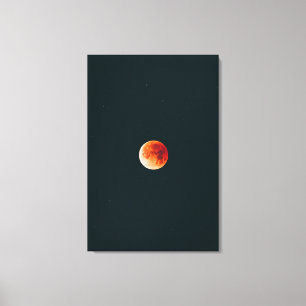 Beautiful Cosmos Canvas Print