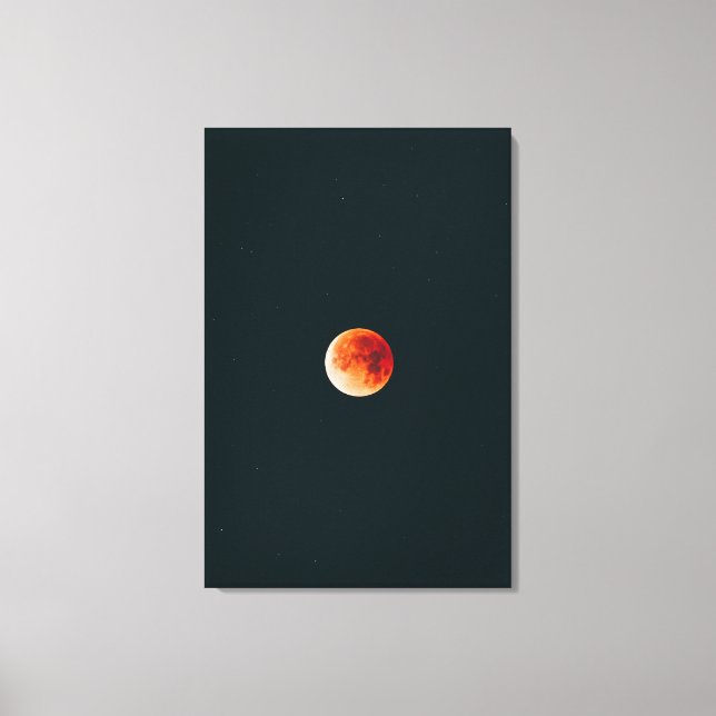 Beautiful Cosmos Canvas Print (Front)