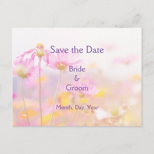 Beautiful Cosmos Garden Flower Pink Mauve Purple Announcement Postcard (Front)